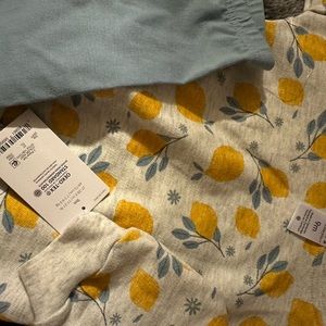 New with tags Carter’s baby girl 9 month set